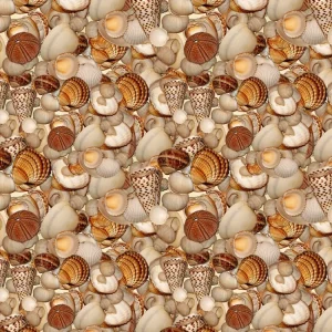 Seashells 26