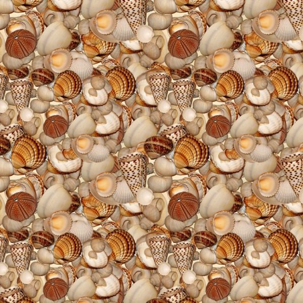 Seashells 26 – Pattern Crew