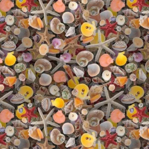 Seashells 22