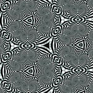 Trippy Black Fractals