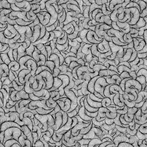 Squiggly Lines