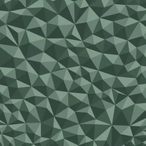 Broken Polygons 24