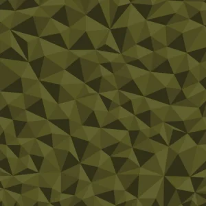 Broken Polygons 23