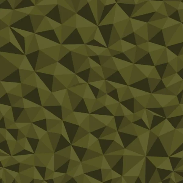 Broken Polygons 23