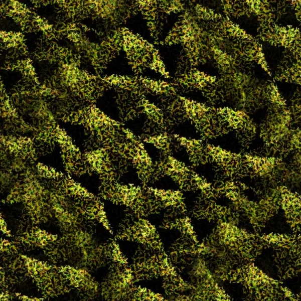 Broken Polygons 22