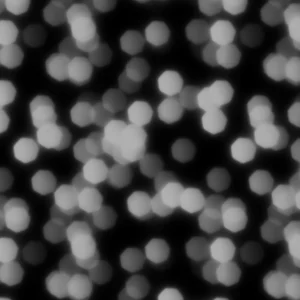 Bokeh Grayscale