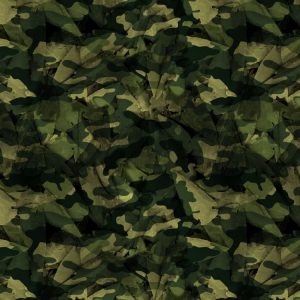 Woodland Arrowheads 22 Camouflage Woodland Arrowheads 22 Camouflage
