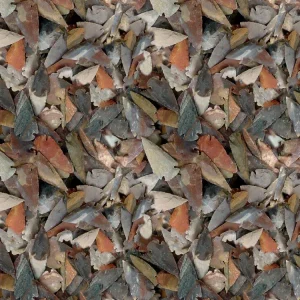Arrowheads 23