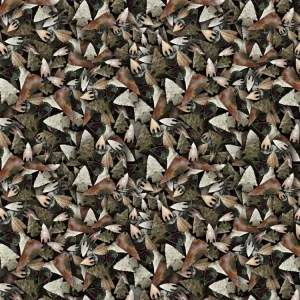 Arrowheads 22
