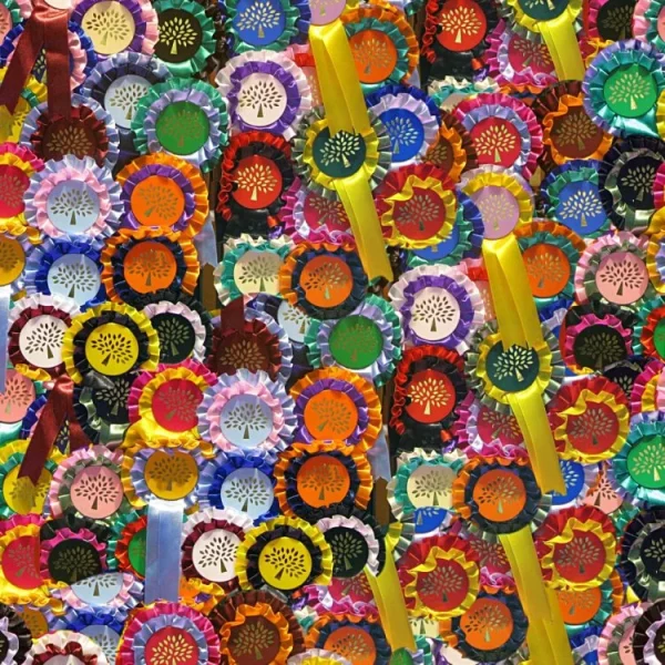 Award Ribbons
