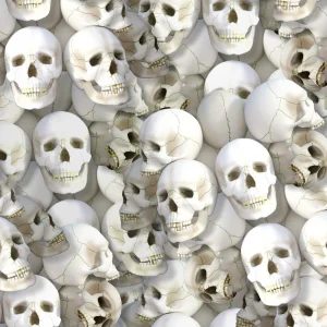 Skulls 666