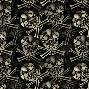 Skull of Bones 23