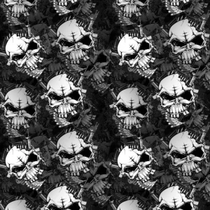 Skull AR 15 22