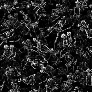 Skeleton Kama Sutra