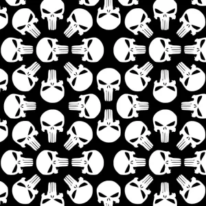 Punisher 25