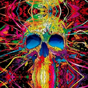 Psycho Skull 11×16