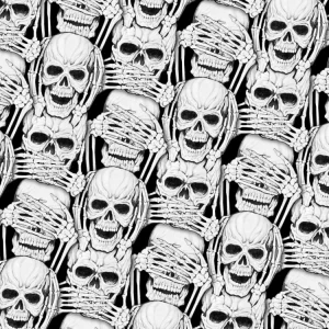 Hear No Evil Speak No Evil 23