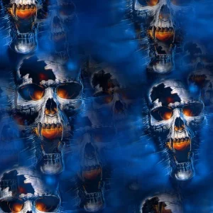 Fire & Ice Skulls 22