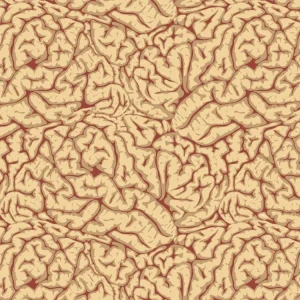 Brains 26