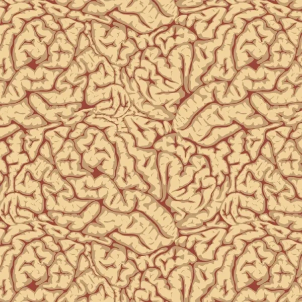 Brains 26