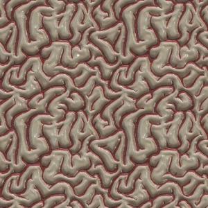 Brains 25