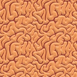 Brains 24