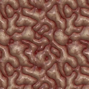 Brains 22
