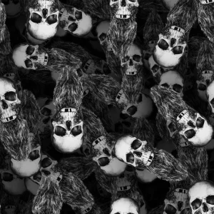 Bearded Skulls 22