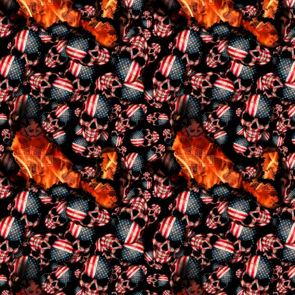 American Flag Skulls Burning