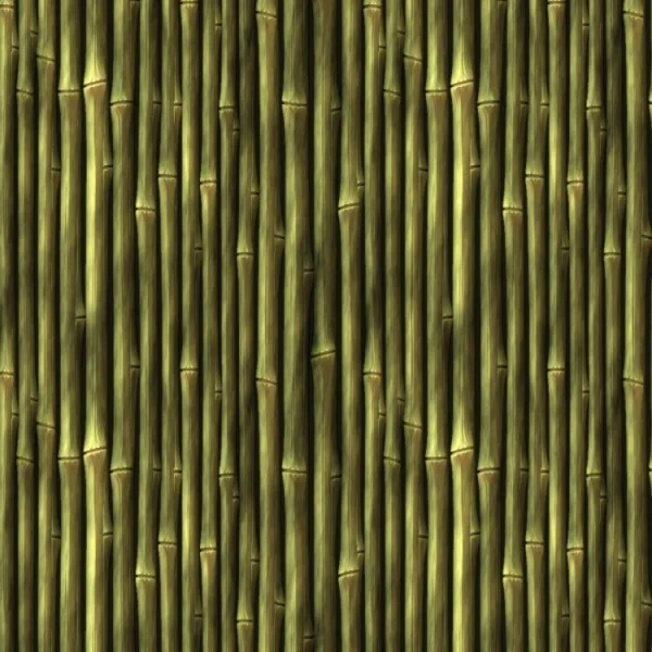 Bamboo 24
