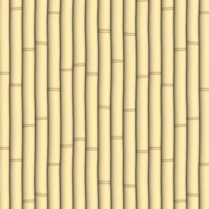 Bamboo 22