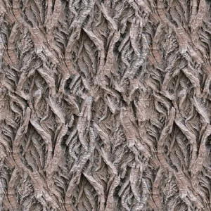 Willow Bark 23