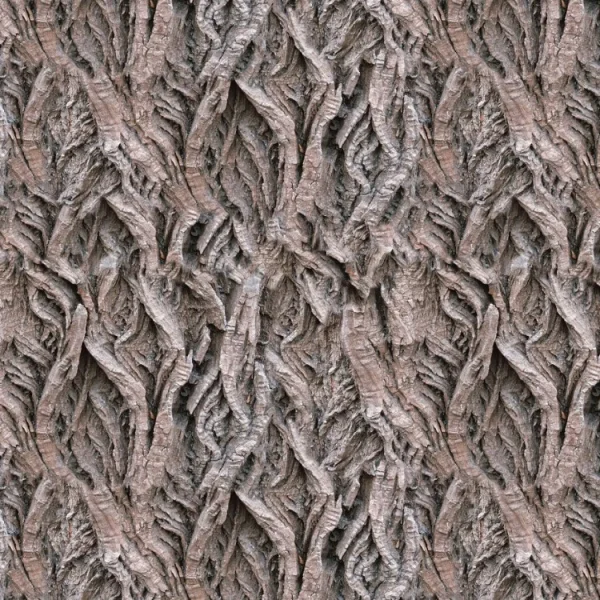 Willow Bark 23