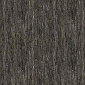 Tree Bark 22