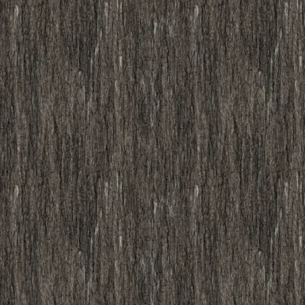 Tree Bark 22