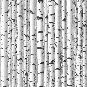 Snow Birch Camouflage