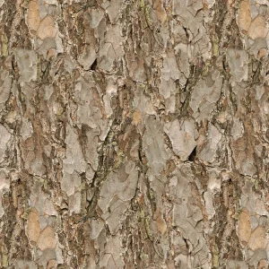 Scots Pine Bark 22