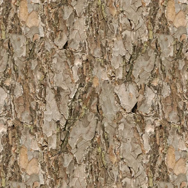 Scots Pine Bark 22