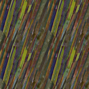 Rainbow Eucalyptus Bark