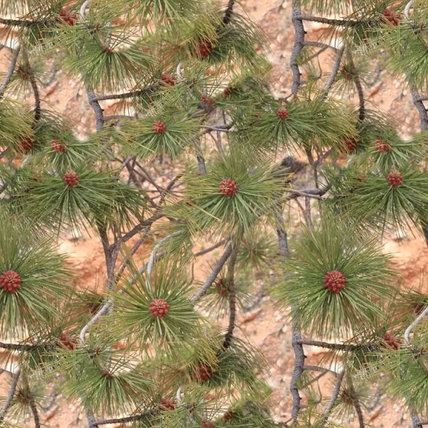 Pine Berry Camo