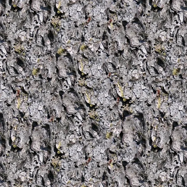 Pine Bark