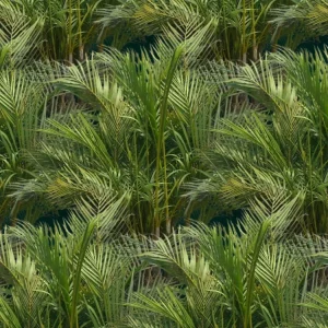 Palm Trees 22