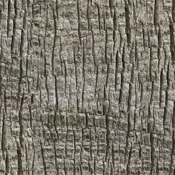 Palm Tree Bark 24