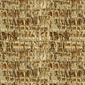 Palm Tree Bark 23