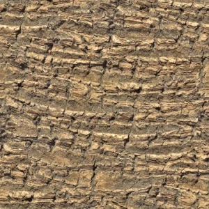 Palm Tree Bark 22