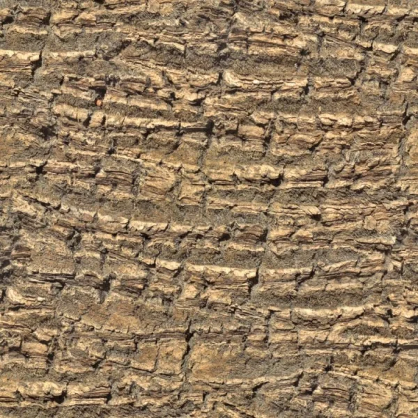 Palm Tree Bark 22