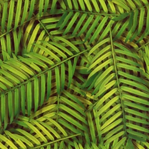 Palm Leaves 23