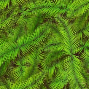Palm Leaves 22