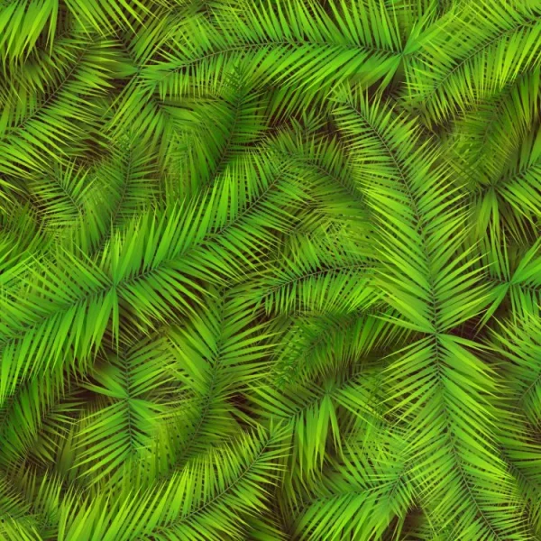 Palm Leaves 22