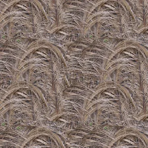 Palm Fronds